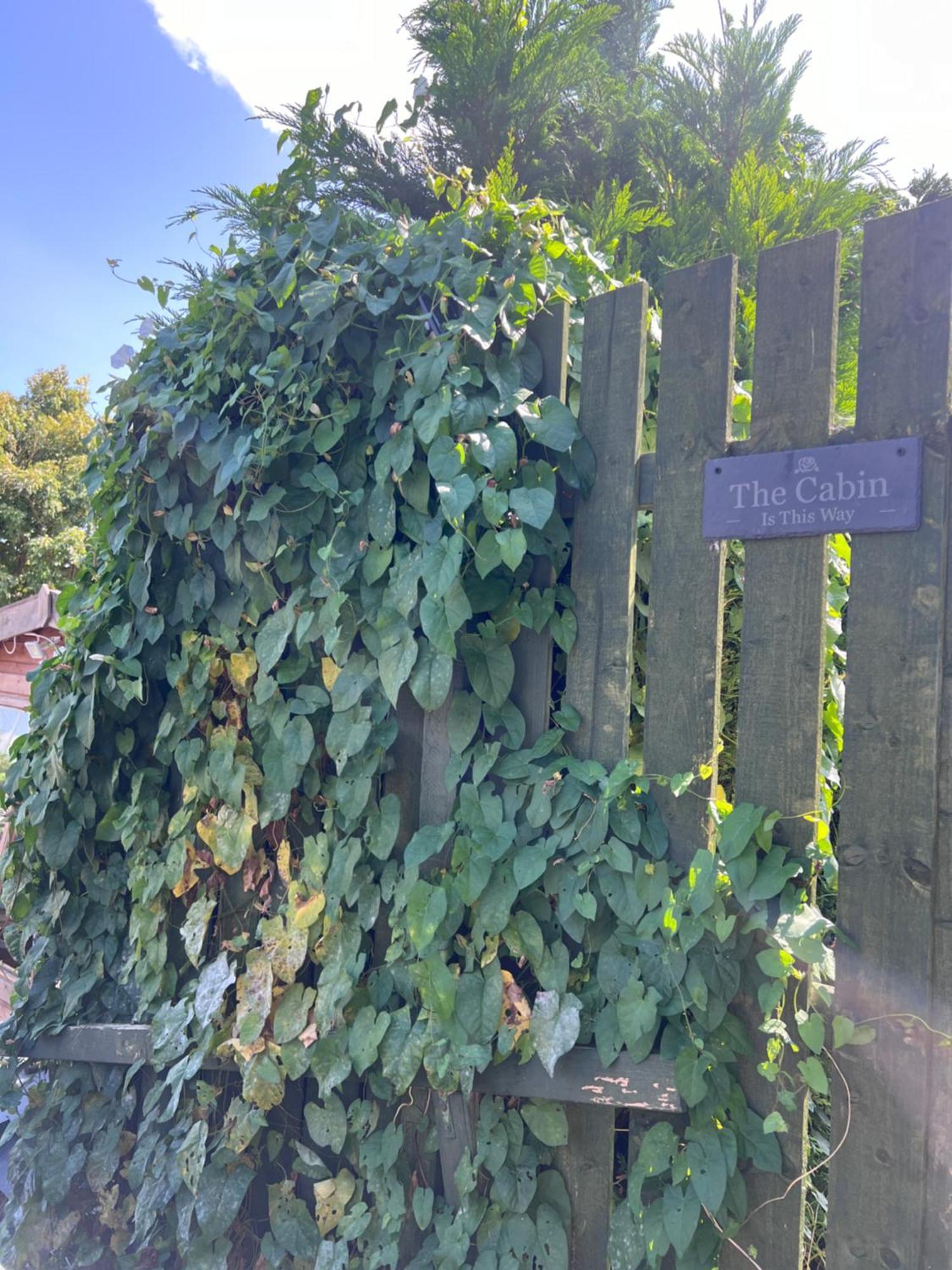 The Cabin Bradford-On-Avon Ngoại thất bức ảnh